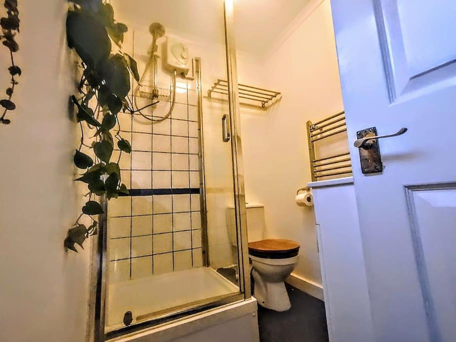 Cute Cottage 4 Mins From Cafes Station And Sea St Leonards-on-Sea Exteriér fotografie