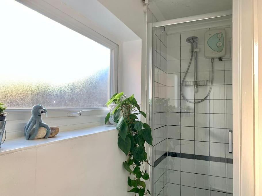 Cute Cottage 4 Mins From Cafes Station And Sea St Leonards-on-Sea Exteriér fotografie
